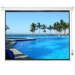 lot 423 image: PROJECTION SCREEN