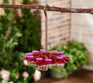 lot 7018 image: Retail - $39.50 Ultimate Innovations Flat Hummingbird