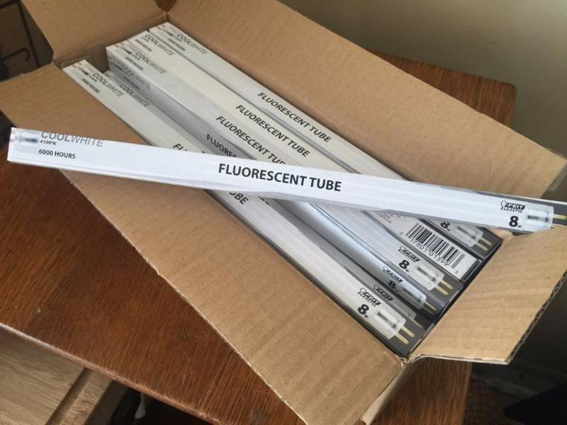 lot 111 image: Case of 24 x 8 T5 fluorescent lightbulbs...