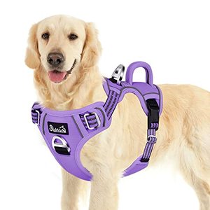 lot 78137 image: SlowTon No Pull Dog Harness, No Choke Pet Harness with 2 Leash Clips and Easy Control Vertical Handle, Adjustable Soft Padded Dog Vest for Small, Medium and Large Dogs (Purple, X-Large)