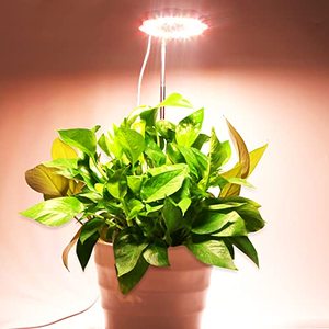 lot 78139 image: CANAGROW Grow Light, Full Spectrum LED Plant Lights for Indoor Plants, Height Adjustable Plant Halo Growing Lamps, Auto OnOff Timer, 3 Lighting Modes & 10 Dimmable Brightness for Small Plants