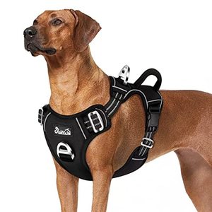 lot 78145 image: SlowTon No Pull Dog Harness, Heavy Duty No Choke Pet Harness with 2 Leash Clips and Easy Control Vertical Handle, Adjustable Soft Padded Dog Vest for Small, Medium and Large Dogs(Black,Large)