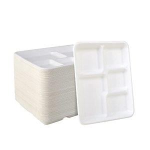 lot 78206 image: Vplus 100% Compostable 5 Compartment Plates 125 Pack Eco-Friendly Disposable Sugarcane 10  8 inch Bagasse School Lunch Tray Perfect for Boys and Girls