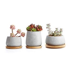 lot 78290 image: T4U 3 Inch - 4.25 Inch Cement Succulent Cactus Pot, Concrete Planter Pot Container Window Box, Small Clay Pot for Plants Flowers with Drainage Bamboo Tray for Home Decor, Set of 3(Grey)