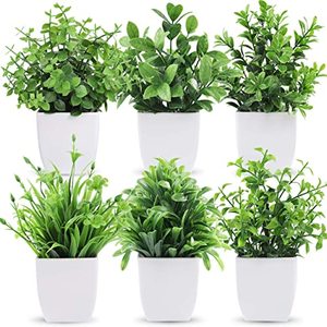 lot 78395 image: Der Rose 6 Packs Fake Plants, Mini Artificial Plants Indoor for Home Farmhouse Bathroom Shelf Decor��
