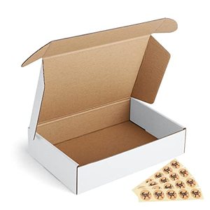 lot 78406 image: Euapko 9x6x2 Corrugated Box Mailers White Cardboard Small Shipping Boxes for Small Business, Mailing (Pack of 25)