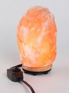 lot 19401 image: Project Source Small Himalayan Salt Rock Lamp
