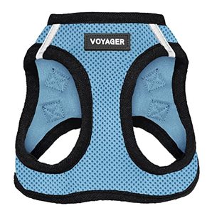 lot 43000065 image: Voyager Step-In Air Dog Harness - All Weather Mesh Step in Vest Harness for Small and Medium Dogs by Best Pet Supplies - Baby Blue Base, M