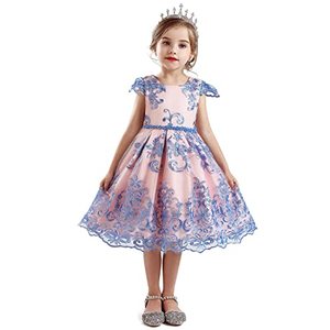lot 43000156 image: HNXDYY Girls Lace Embroidered Backless Princess Birthday Christmas Party Dress Size (110) 3-4 Years Pink