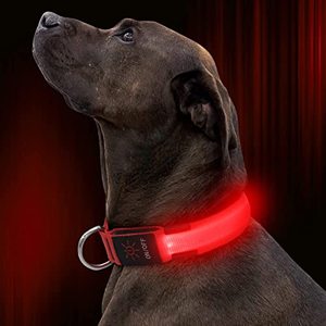 lot 43000321 image: Illumifun Nylon LED Dog Collar - USB Rechargeable Glowing Puppy Collar, Adjustable Light Up Pet Collars Make Your Dogs Safe& Seen at Night (Red, Small)
