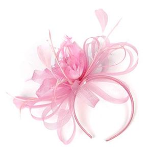 lot 43000362 image: HIDOLL Fascinator Hat Feather Mesh Net Veil Party Hats Flower Hat with Clip and Hairband for Women
