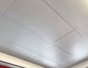 lot 2902 image: Set Of 6 23.5x48 Ceiling Tiles