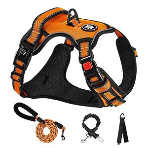 lot 1098 image: NESTROAD No Pull Dog Harness,Adjustable Oxford Dog Vest Harness with Leash,Reflective No-Choke Pet Harness with Easy Control Soft Handle for Small Dogs(Small,Orange) Retail $22.28