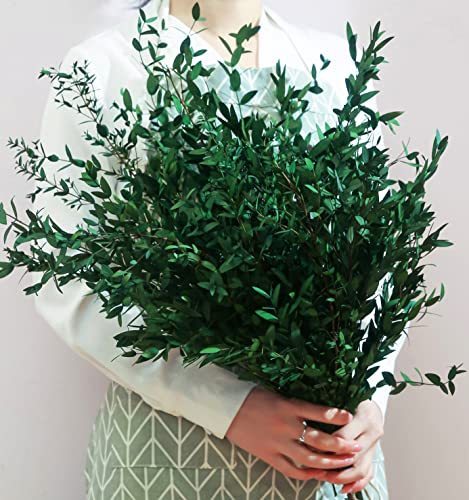 lot 7417 image: 20 Small Branches Dried Eucalyptus Preserved Greenery Stems, 7-14 Pcs 17 4oz Natural Real Eucalyptus Leaves Bundles for Shower, Green Leaves Plant for Arrangement, Wedding, Home, Office Decor