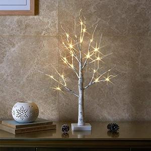 lot 9383 image: EAMBRITE Tabletop Tree Home Decorations, Mini Birch Tree with Lights, 24 LED Money Tree White Twig Tree Battery Operated with Timer, Christmas Centerpiece, Mothers Day, Spring Decor(2FTWarm White)