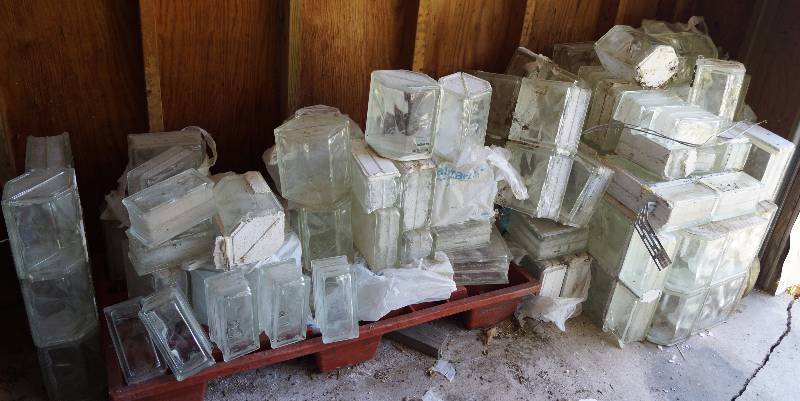 lot 2359 image: HUGE Collection of Water Glass - Clean and Use on Your Next Remodel