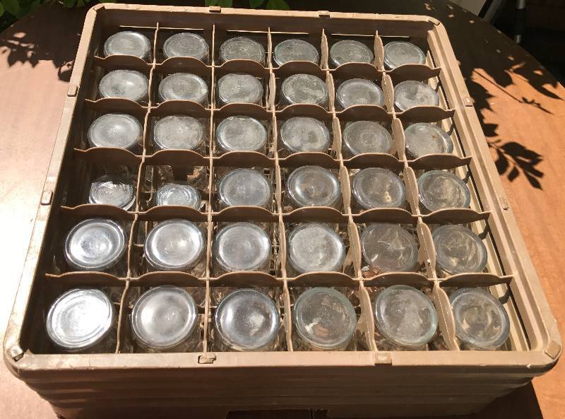 lot 2325 image: Huge Mixed Lot of Pop & Juice Glasses - with Restaurant Bus Tray