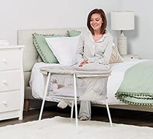 lot 60159 image: Regalo Baby Basics�� Portable Infant Bassinet Gray Padded Insert