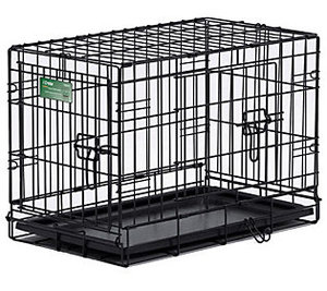 lot 60273 image: Medium Dog Crate  MidWest iCrate 30 Double Door Folding Metal Dog Crate  Divider Panel Floor Protecting Feet & Dog Pan  30L x 19W x 21H Inches Medium Dog Breed