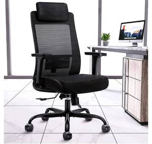 lot 60326 image: Ergonomic Office Chair Computer Desk Chairs - Mesh Home Office Desk Chairs with Lumbar Support & 3D Adjustable Armrests (High Back) retail$250