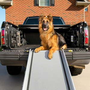lot 60404 image: PetSafe Solvit Deluxe Telescoping Pet Ramp for Dogs and Cats Portable Leightweight X-Large 47 in. - 87 in.