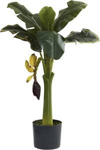 lot 60191 image: Nearly Natural 5359 Banana Tree, 3-Feet, Green,Large
