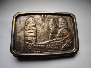 lot 23028 image: Carlsbad Caverns National Park Belt Buckle