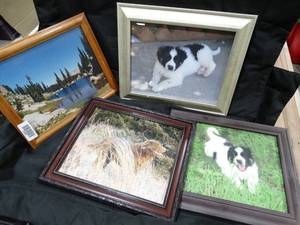 lot 23425 image: 4 Framed 8x10 Photos