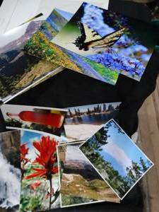lot 23438 image: Variety of Signed creative Color Photographs