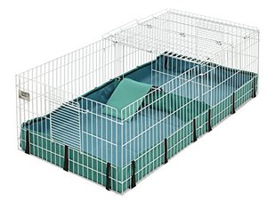 lot 52132 image: Guinea Habitat Plus Guinea Pig Cage by MidWest w Top Panel, 47L x 24W x 14H Inches