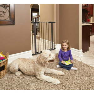 lot 52161 image: MIDWEST 39 GRAPHITE STEEL PET GATE