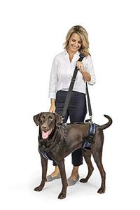 lot 46000164 image: PetSafe CareLift Support Harness - Full Body Dog Lift Harness with Handle & Shoulder Sling - Great for Elderly Dogs, Hip Dysplasia, ACL Surgery - Designed to Help Them Up - Adjustable - Large