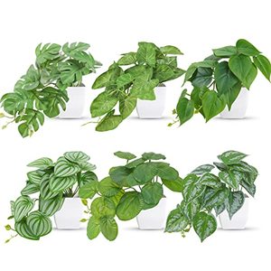 lot 46000302 image: Der Rose 6 Packs Small Fake Plants Artificial Plants for Home Bedroom Aesthetic Living Room Bathroom Farmhouse Decor Indoor