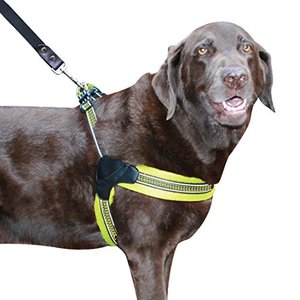 lot 46000551 image: Sporn Easy Fit Dog Harness ,Mesh, Yellow, Large (SPUS20062)