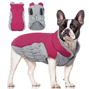 lot 2348 image: FUAMEY Winter Dog Coat,Warm Pet Windproof Jacket Cold Weather Clothes for Dogs Fleece Lined Dog Vest Reflective Apparel for Small Medium Dogs Cozy Puppy Indoor Outdoor Padded Outfits Green