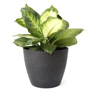 lot 18972 image: La Jolie Muse Outdoor Indoor Planters Flower Pots - 9.4 Inch Planter Pot Containers, Plant Pots, Black, Honeycomb