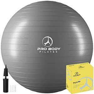 lot 19034 image: ProBody Pilates Ball Exercise Ball Yoga Ball, Multiple Sizes Stability Ball Chair, Gym Grade Birthing Ball for Pregnancy, Fitness, Balance, Workout at Home, Office and Physical Therapy (Silver, 65 cm)