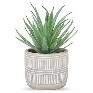 lot 19056 image: Der Rose Fake Succulents Plants Artificial Succulents in Pots for Room Home Bathroom Bedroom Office Boho Decor