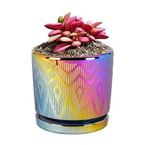 lot 35421 image: Ton Sin Plant Pots,Colorful Gold 5.5 Inch Succulent Pots with Drainage,Indoor Round Ceramic Planters with Saucer,Cactus Planters with Hole,Outdoor Garden Pots