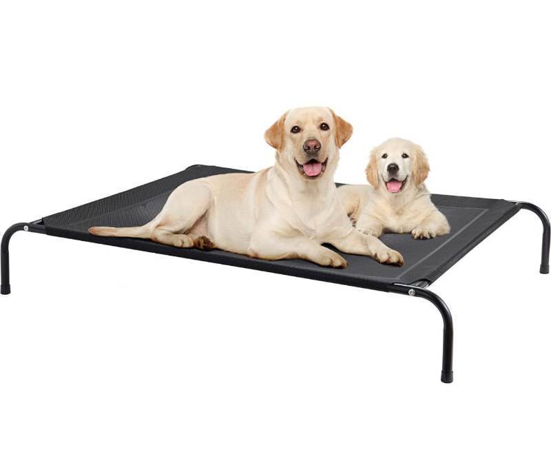 lot 61882 image: Elevated Dog Bed for Small, Medium, Large Dogs and Pets, Raised Dog Bed with Durable Frame and Mesh, Dog Cot Bed with Rubber Feet for Indoor and Outdoor Use