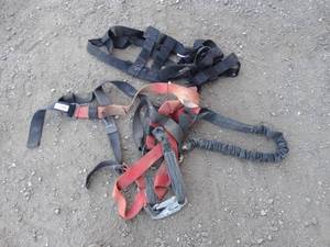 lot 24707 image: Safety harness