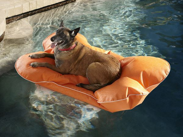lot 30011 image: Goodlife Designs Lime (40x 23x 3)Aqua- Pup Pool FloatMat Retail $49.99