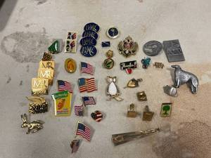 lot 64448 image: misc pin back and brooch lot