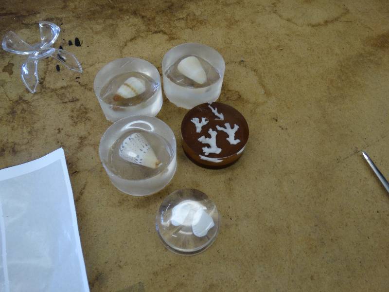 lot 641 image: 5 Pcs of Lucite wsea shells.
