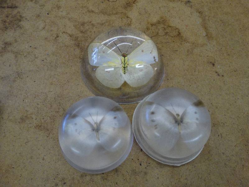 lot 646 image: 3 PCs of lucite wbutterfly.