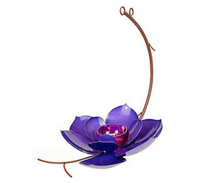 lot 12008 image: Desert Steel Easy Clean Prince Magnolia Seed&Je lly Bird Feede