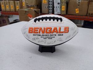 lot 11973 image: Retail - $36.95 NFL 2021 Special Edition Team Roster Signature Ball with Stand