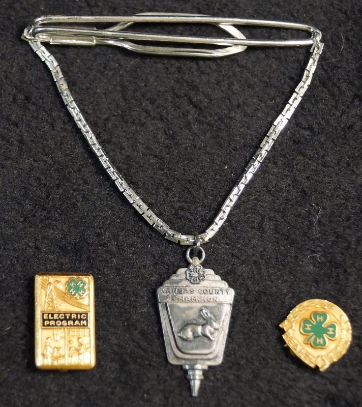 lot 8068 image: Vintage 4-H Champion Jewelry - Tie holder, pins - Very nice