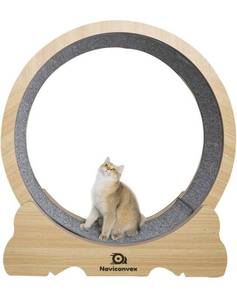 lot 3800 image: Naviconvex Cat Exercise Wheel Cat Treadmill Running Wheel for Indoor Cats Daily Exercise, Cat Wheel Exerciser for Indoor Cats Retails $299