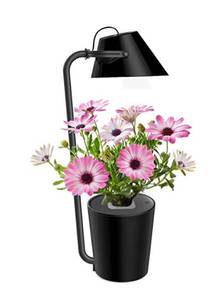 lot 4005 image: LED Grow Lamp, Plant Growing Lamps with Dimmable Table Lamp Function, Eye Protective Reading Light,for Indoor Greenhouse Garden Plants, Indoor Herb for School Education.IDEER LIFE (Black)